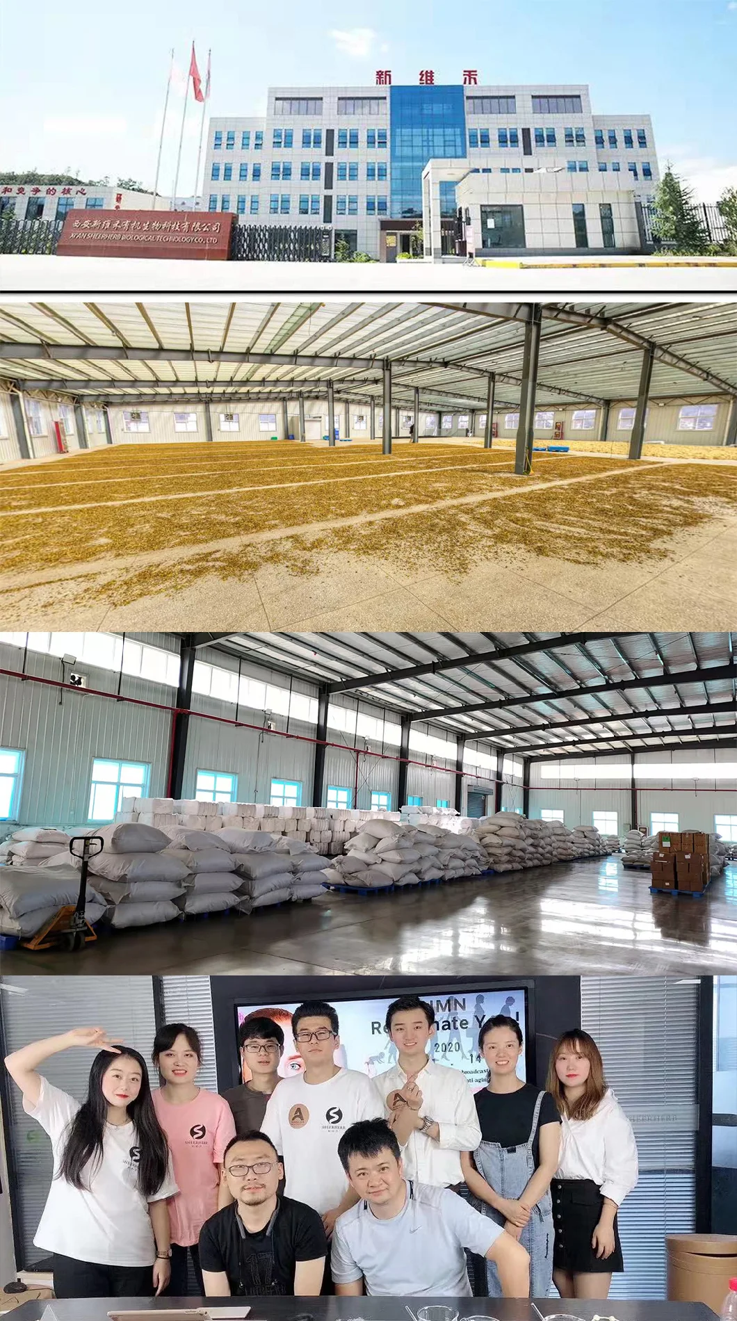 Wholesale Bulk in Stock Factory Direct Medical Raw Powder Tianeptine Sodium GABA 5htp Phenibut Powder