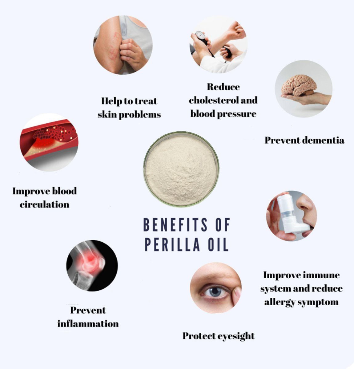 Purple perilla seed oil powder 5