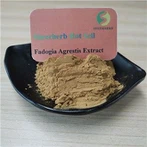 Fadogia Agrestis Extract कैप्सूल
