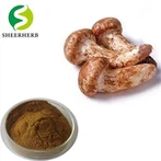 मात्सुटेक एक्सट्रैक्ट