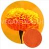 20% Lutein Oil